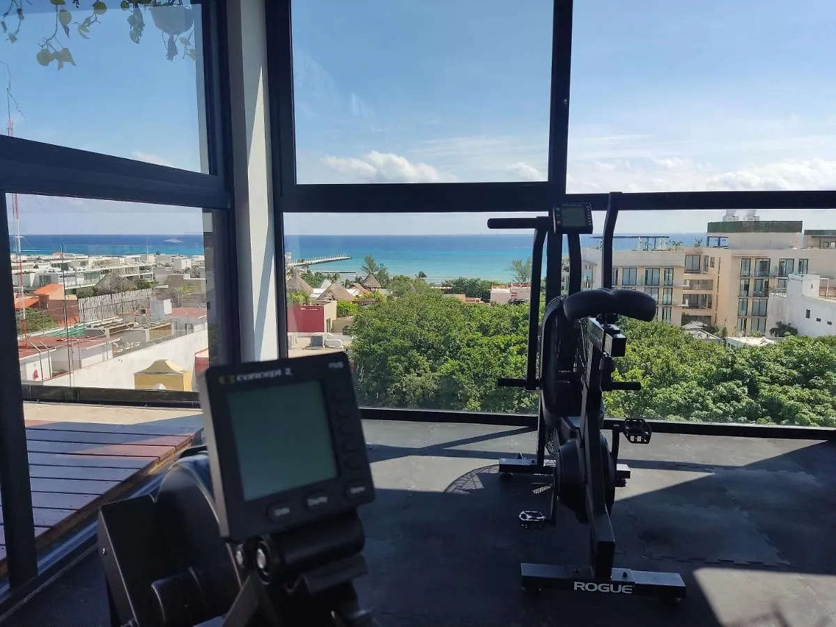 بلايا ديل كارمن Luxury Suites , Calle 14Th